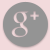 Google Plus
